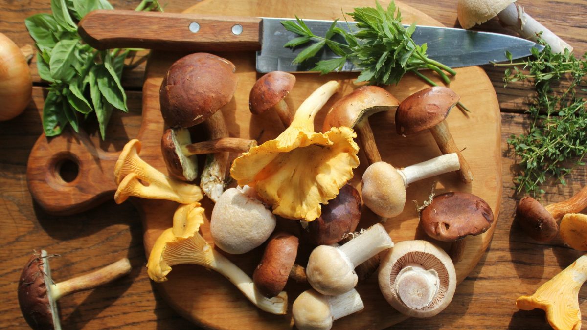Healthy Eating Is It Safe To Eat Raw Mushrooms?