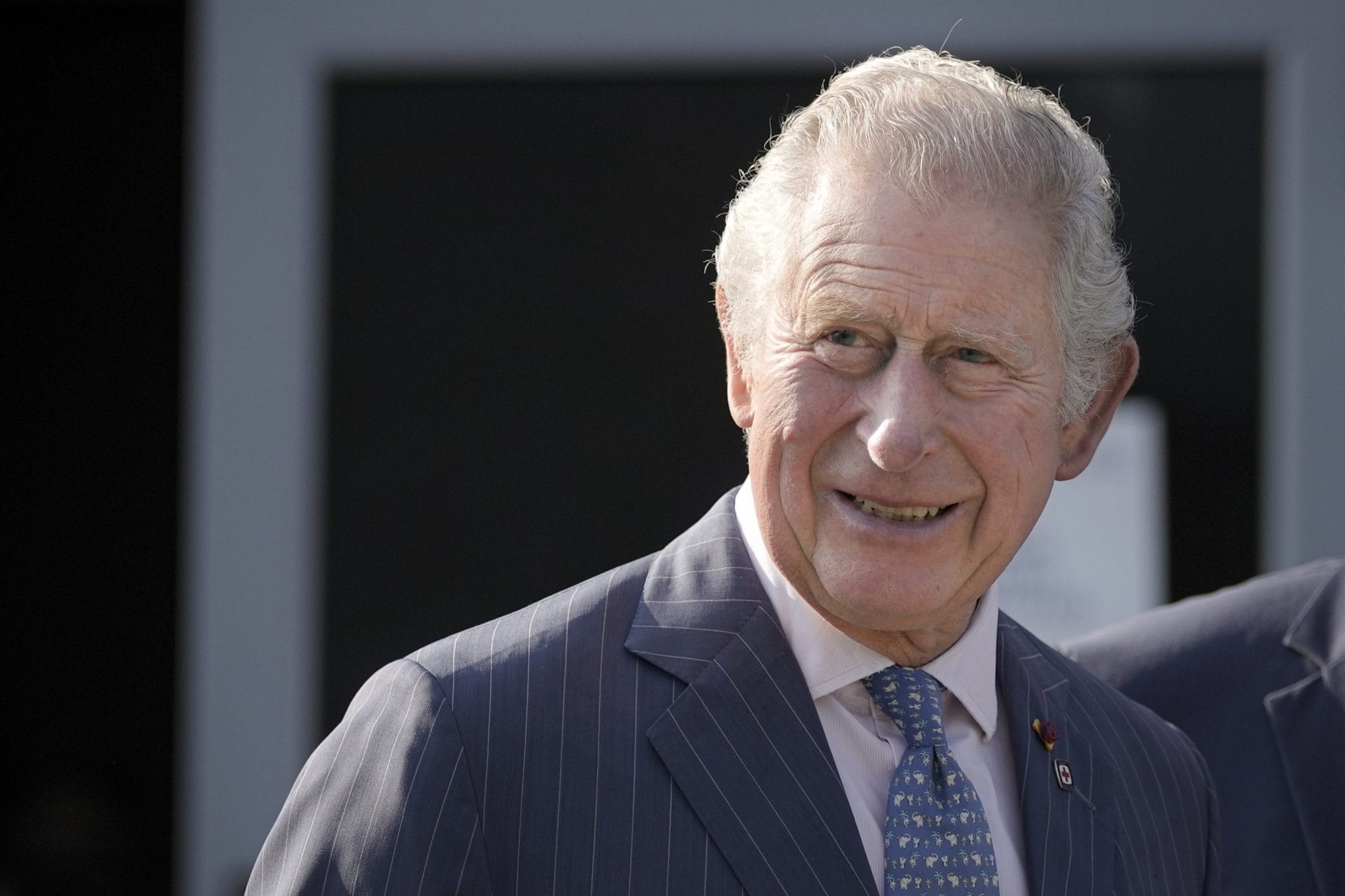 Chi sono i quattro figli della Regina Elisabetta Carlo, Anna, Andrea ed Edoardo Chi sono i quattro figli della Regina Elisabetta Carlo, Anna, Andrea ed Edoardo