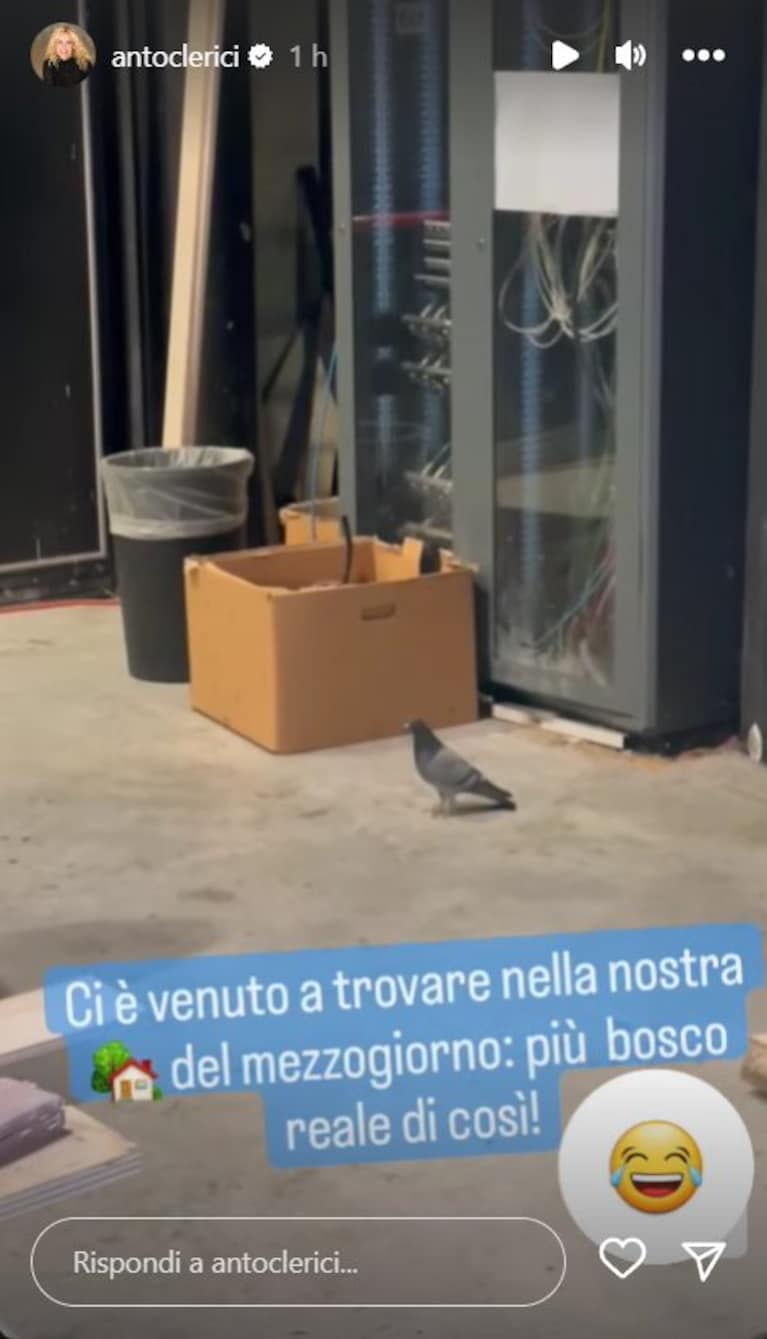 Immagine