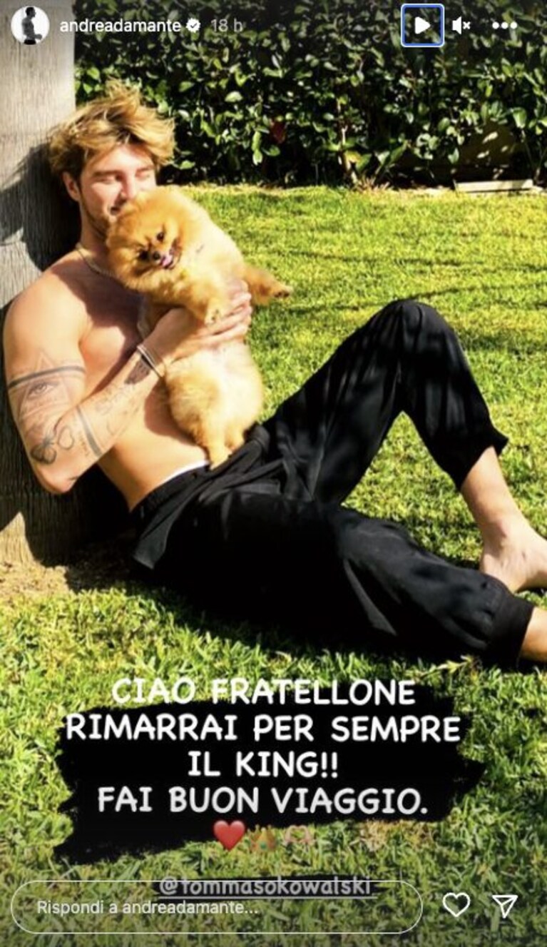 Immagine