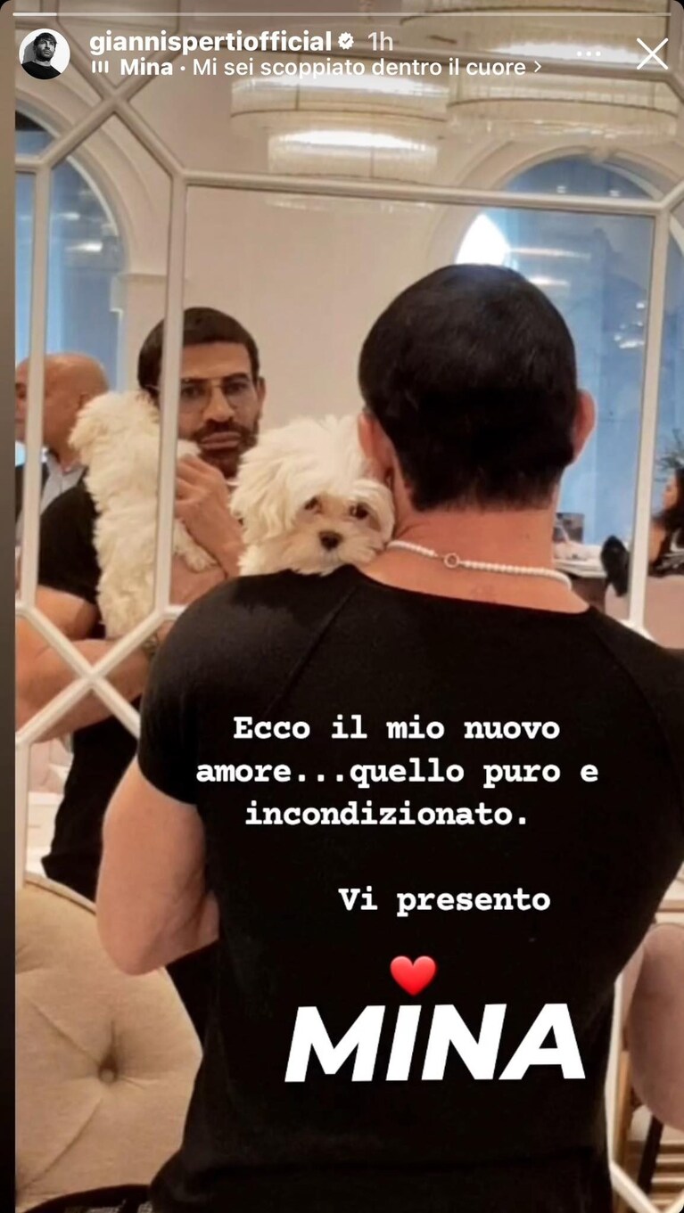 Immagine