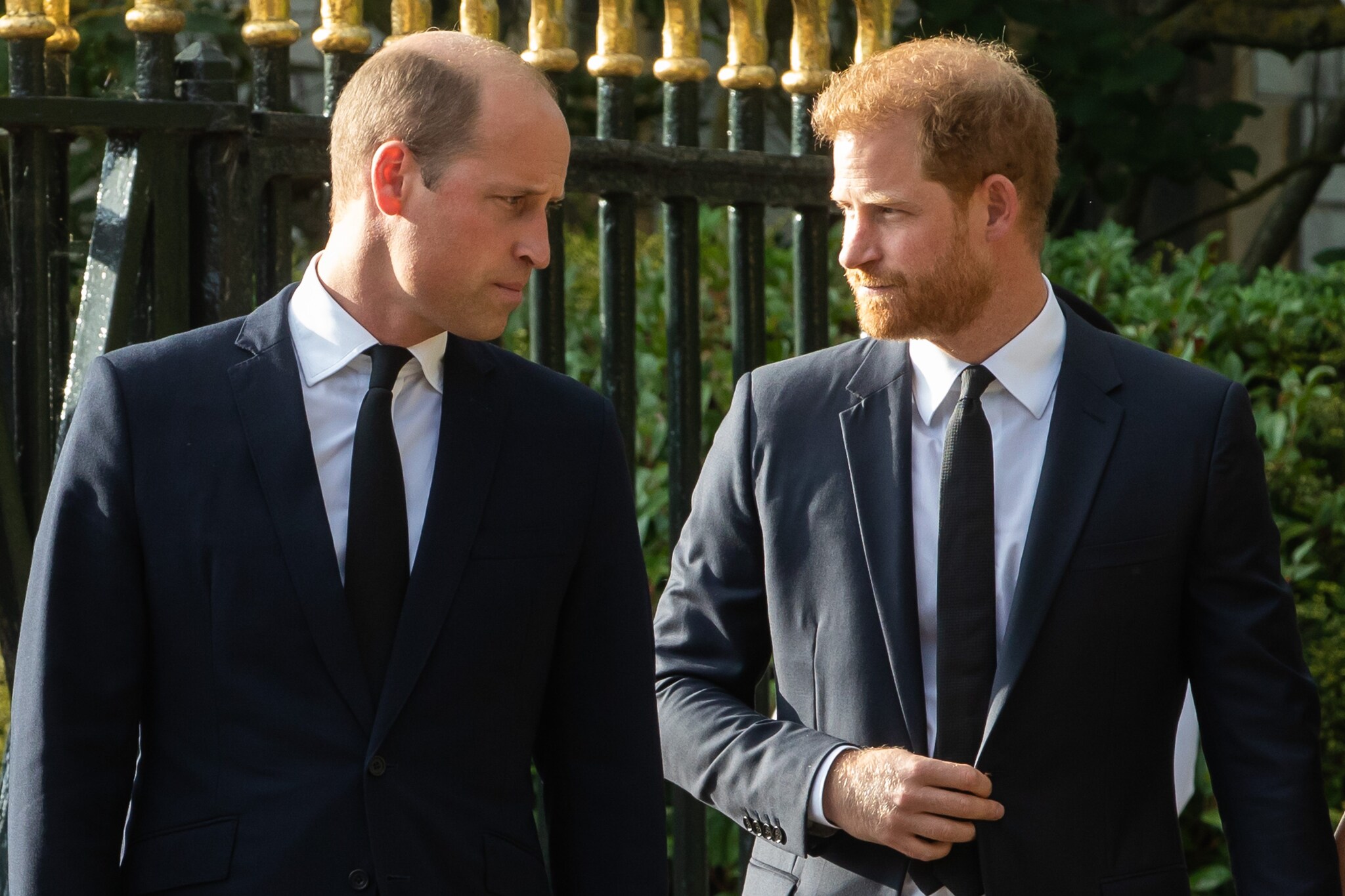 Principe Harry e il fratello maggiore William