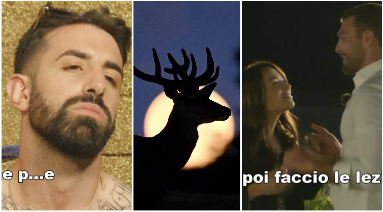 Temptation Island in onda la stessa sera della Luna del Cervo, l'ironia sui social: “Non è una coincidenza"