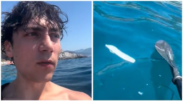 Matteo Paolillo trova un assorbente in mare a Positano e sbotta: "La prossima volta porto un retino"