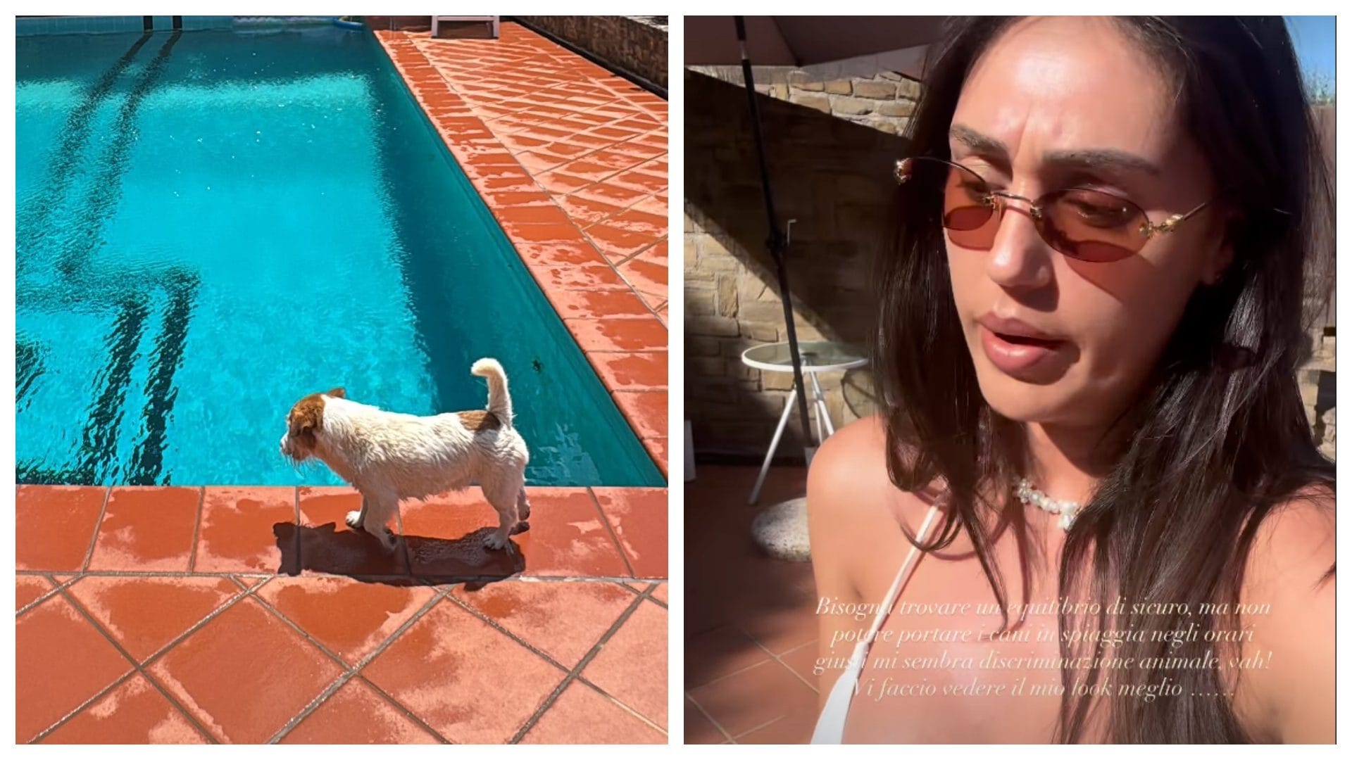 Cecilia Rodriguez si lamenta via social: "Il mio cane non può venire in spiaggia, parlerò con il sindaco"