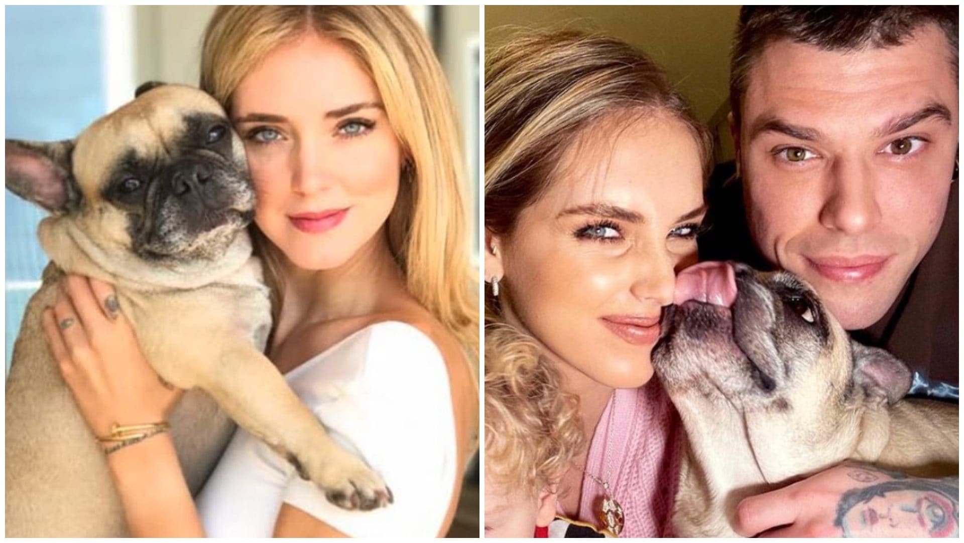 Chiara Ferragni ricorda Matilda, la cagnolina del "papillon di Vuitton" che fece innamorare lei e Fedez