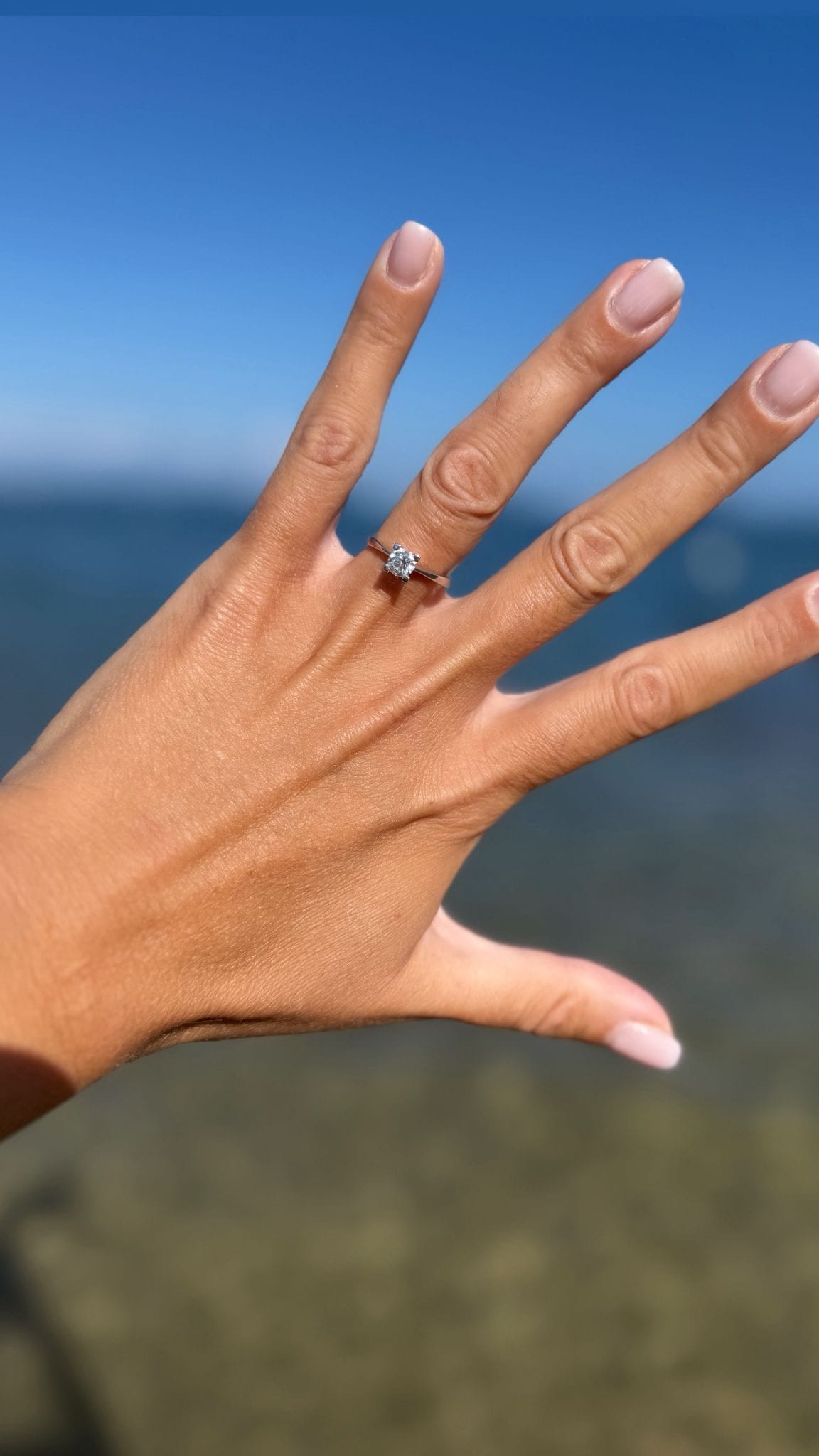 L’anello di fidanzamento di Mary Segneri