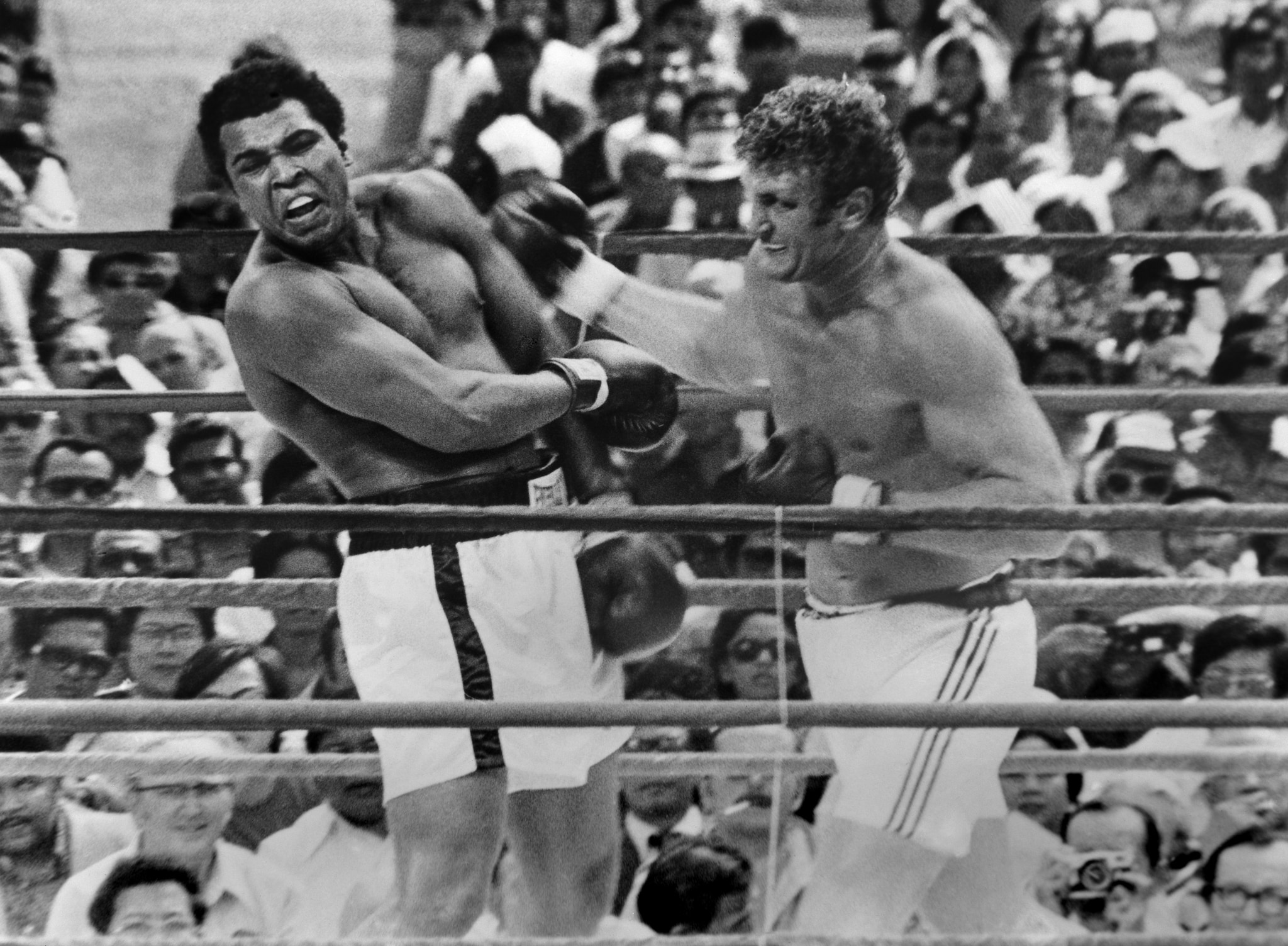 Joe Bugner e Muhammad Ali