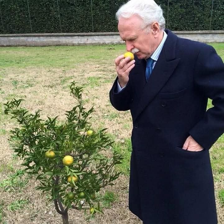 Baredson oggi