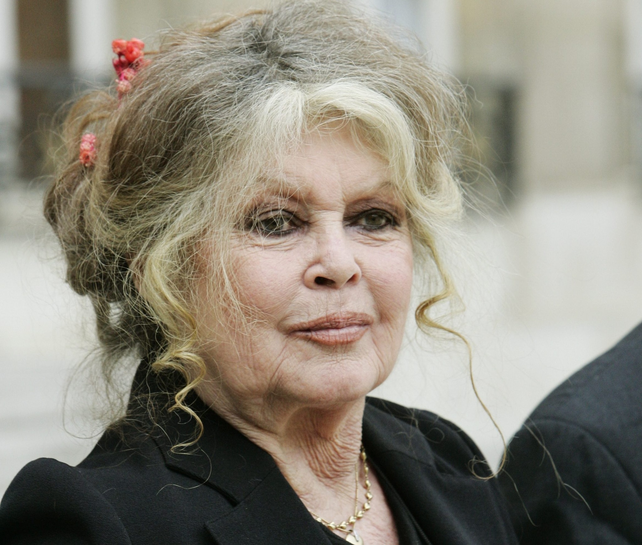 Eredità Brigitte Bardot, battaglia per il patrimonio di quasi 70milioni: il figlio e il marito contro il testamento