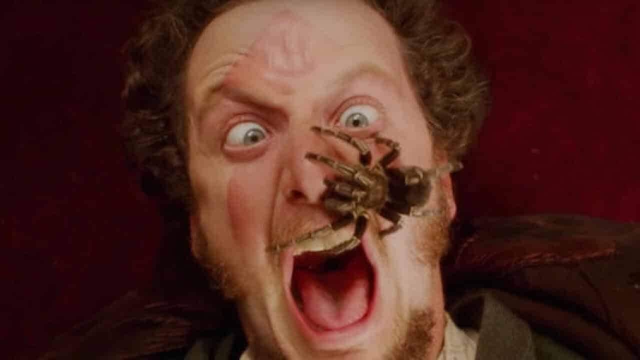 L’iconica scena con il ragno di Mamma ho perso l’aereo