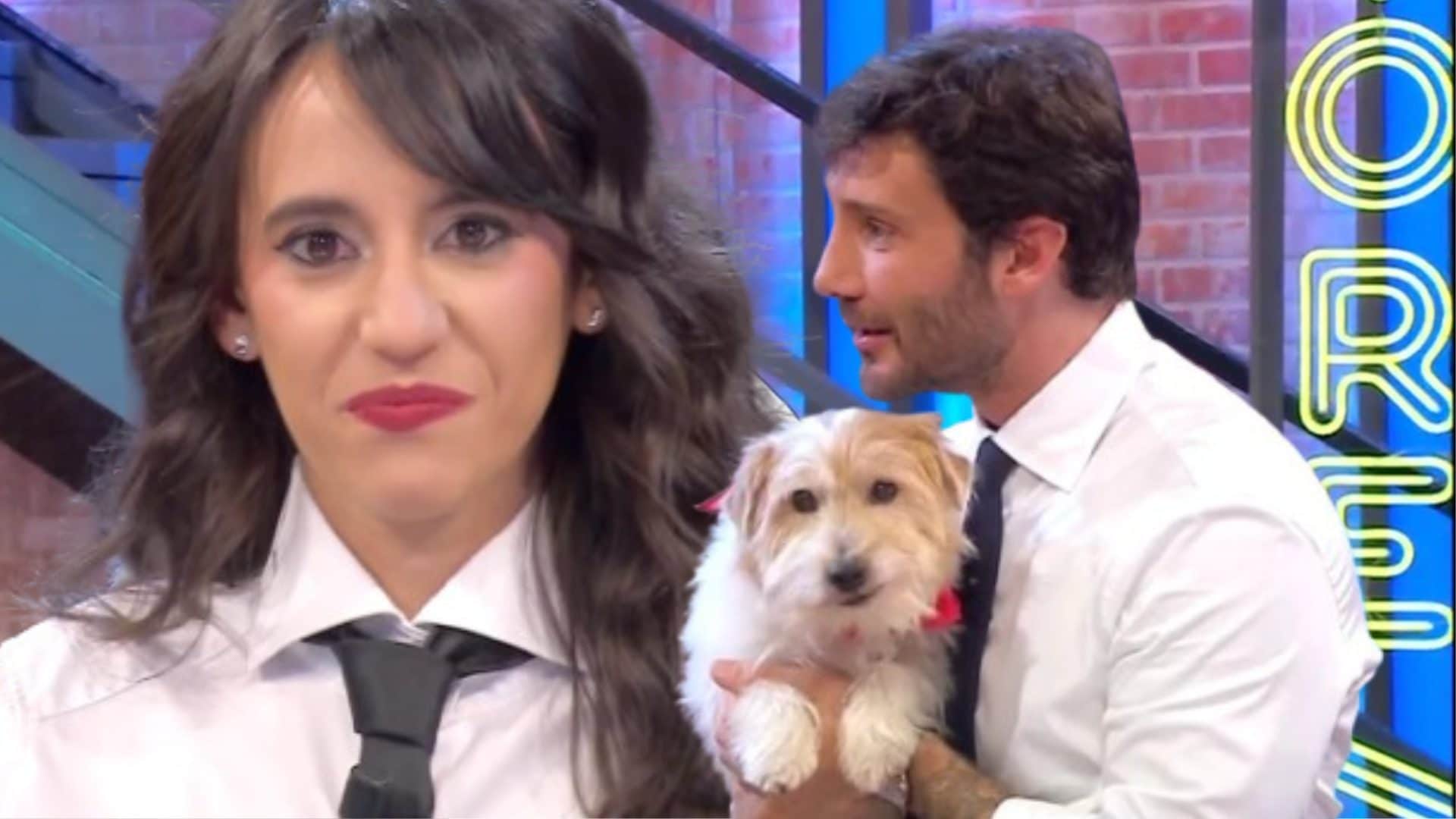 Rosmara ad Affari Tuoi impaurita da Gennarino, Stefano De Martino lo allontana: "Non lo meriti"