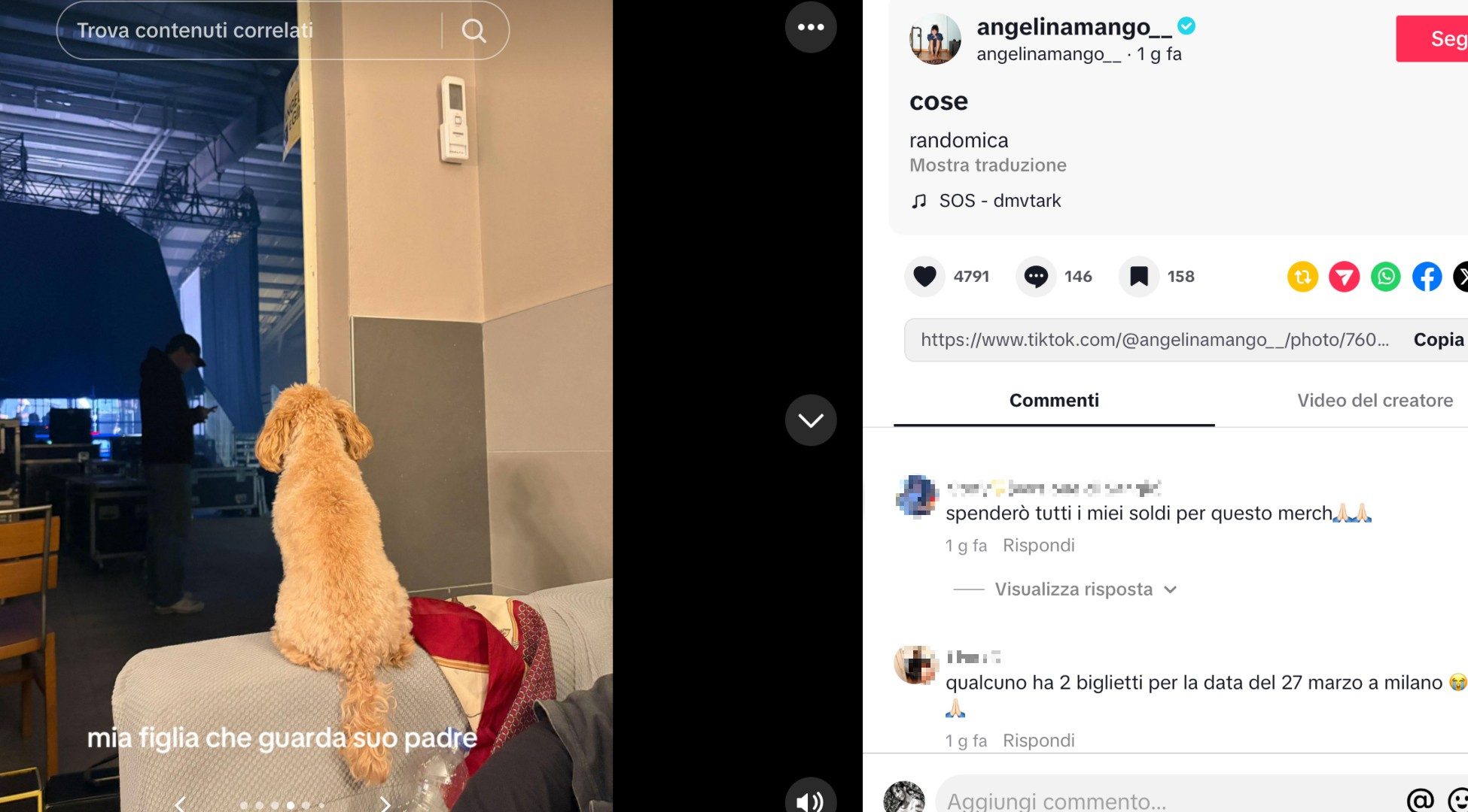 Il post di Angelina su TikTok