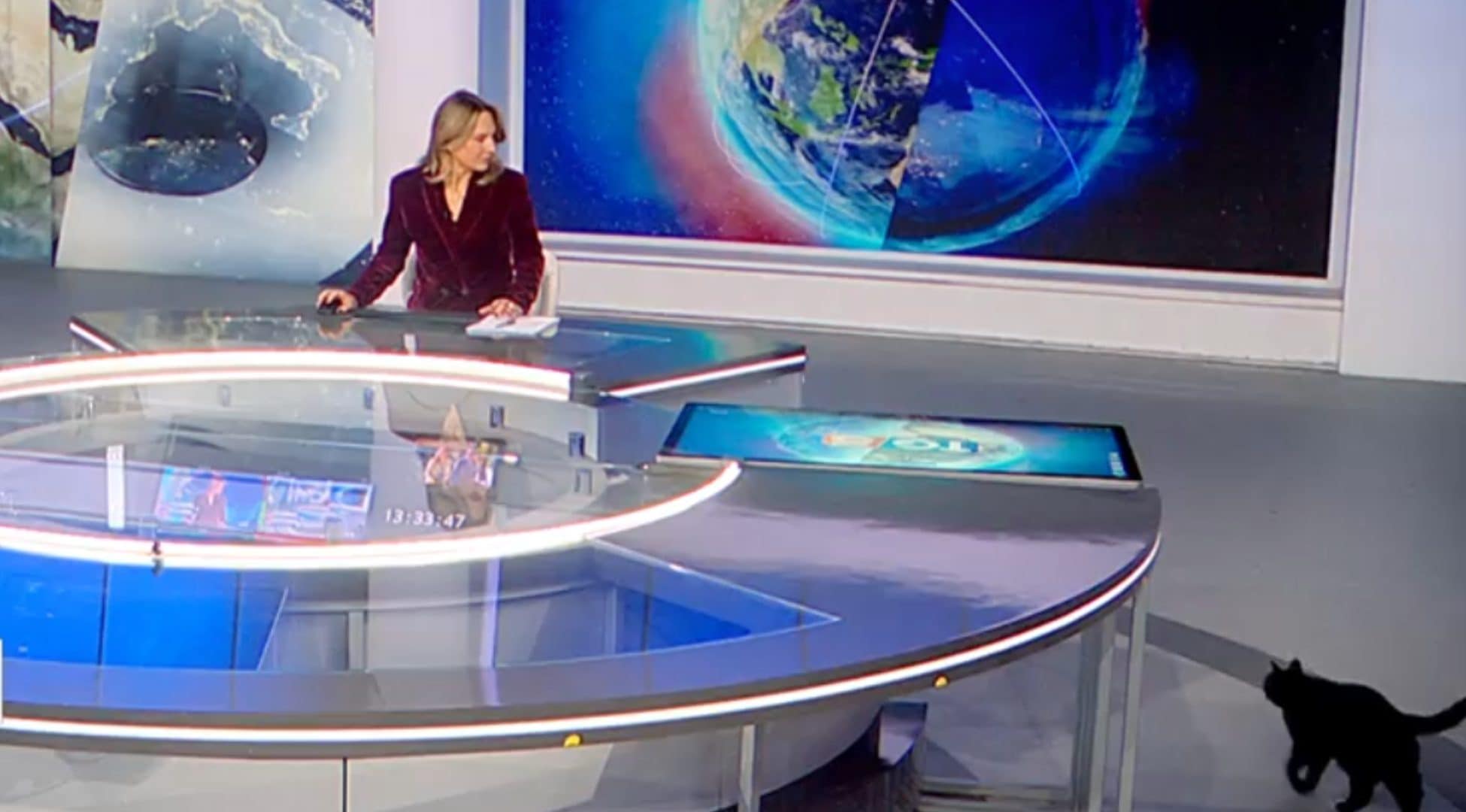 Gatto nero si imbuca nello studio del TG5, le immagini in diretta durante l’edizione delle 13:00