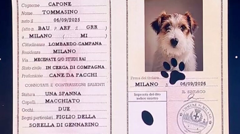 Immagine