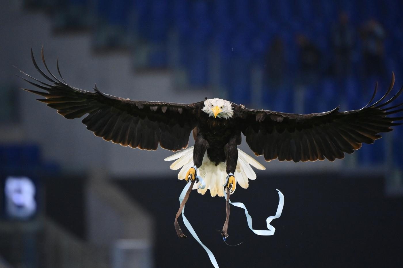 L’aquila Olympia vola nel cielo dell’Olimpico prima di Lazio–Udinese, sotto gli occhi di Juan Bernabè