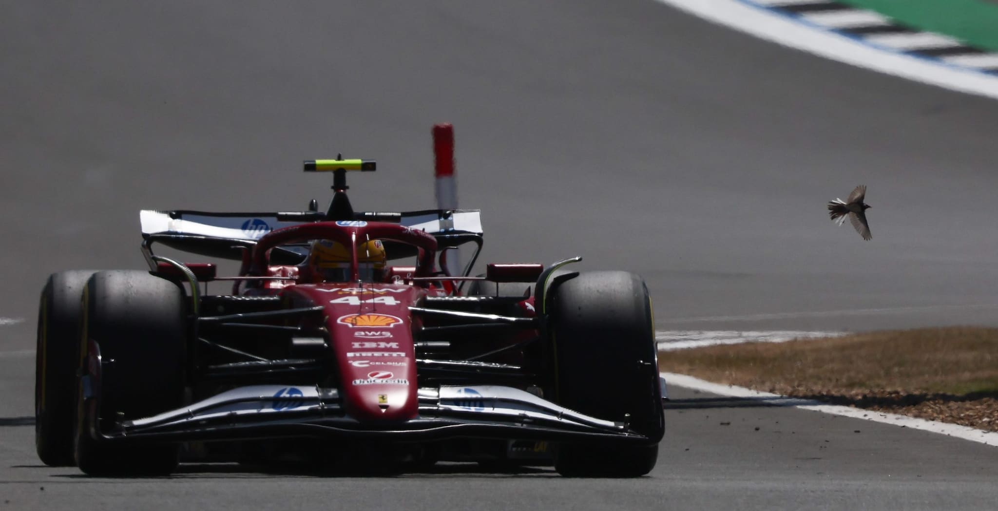 Formula 1, Norris vince il GP Silverstone: classifica aggiornata e ordine d'arrivo