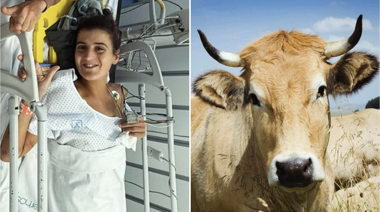 Sara Alonso aggredita da una mucca durante un allenamento: "Sembra uno scherzo, ma pensavo di morire"