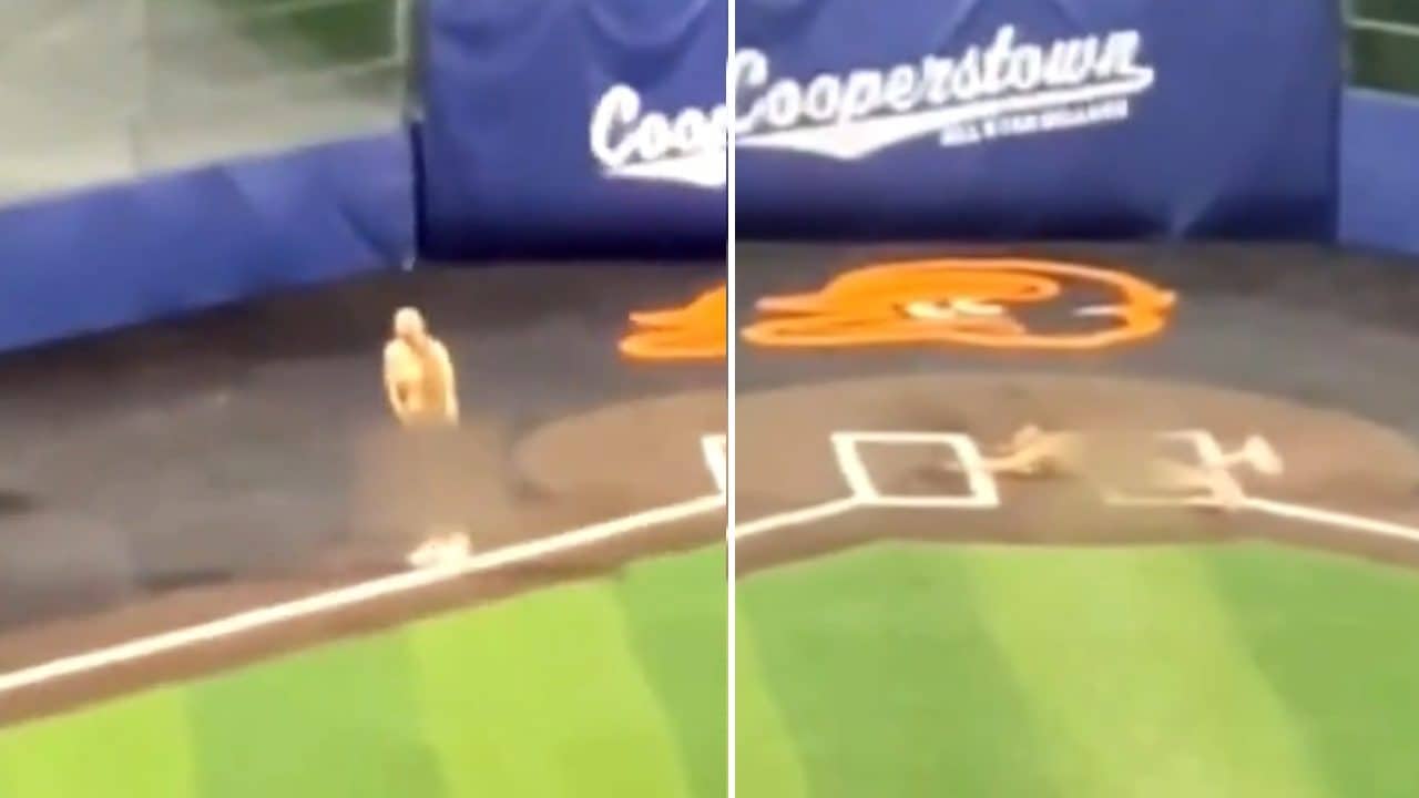 Due allenatori di baseball licenziati in tronco e club espulso: filmati mentre corrono nudi in campo
