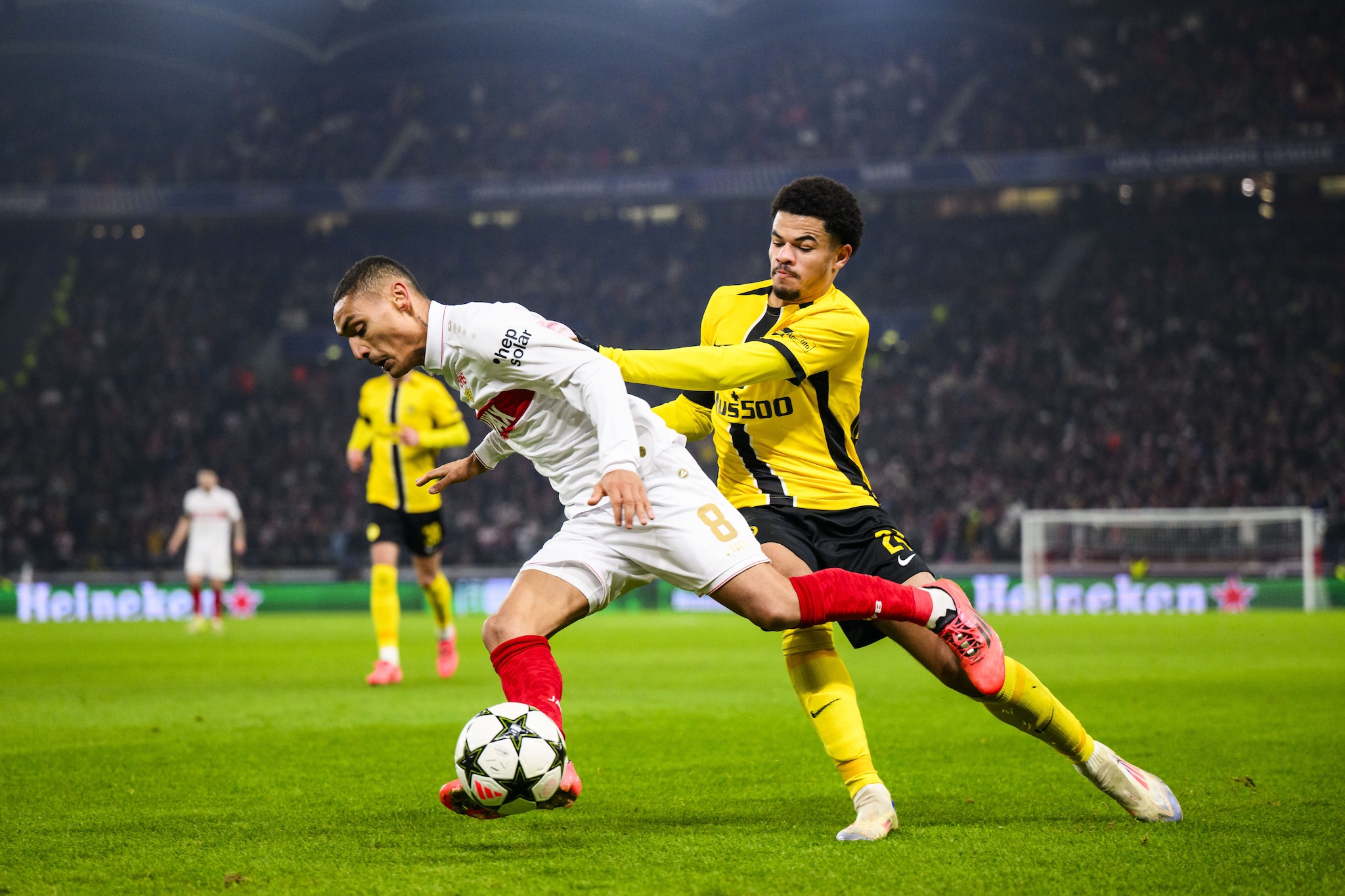 Athekame in azione in Champions con lo Young Boys.