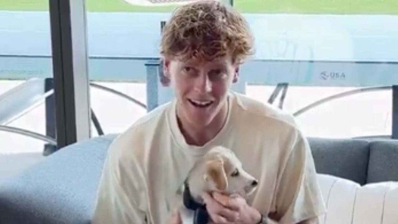 Sinner scopre che il cane che aveva tenuto in braccio è stato adottato: fa un bellissimo gesto