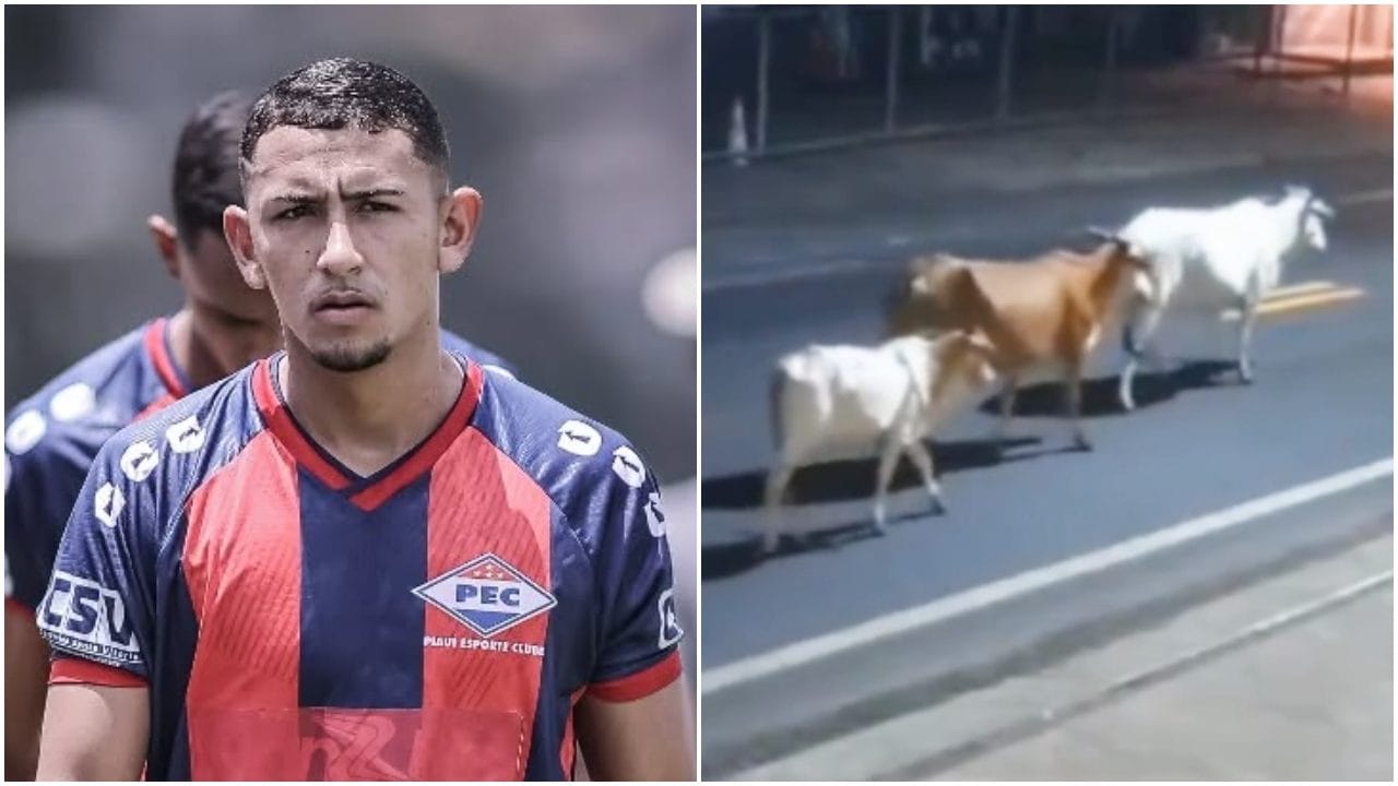 Antony Ylano muore sul colpo scontrandosi con una mucca, tragedia nel calcio: impatto violentissimo
