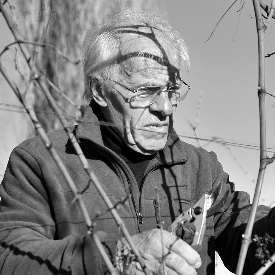 Scala a lavoro nella sua azienda agricola.