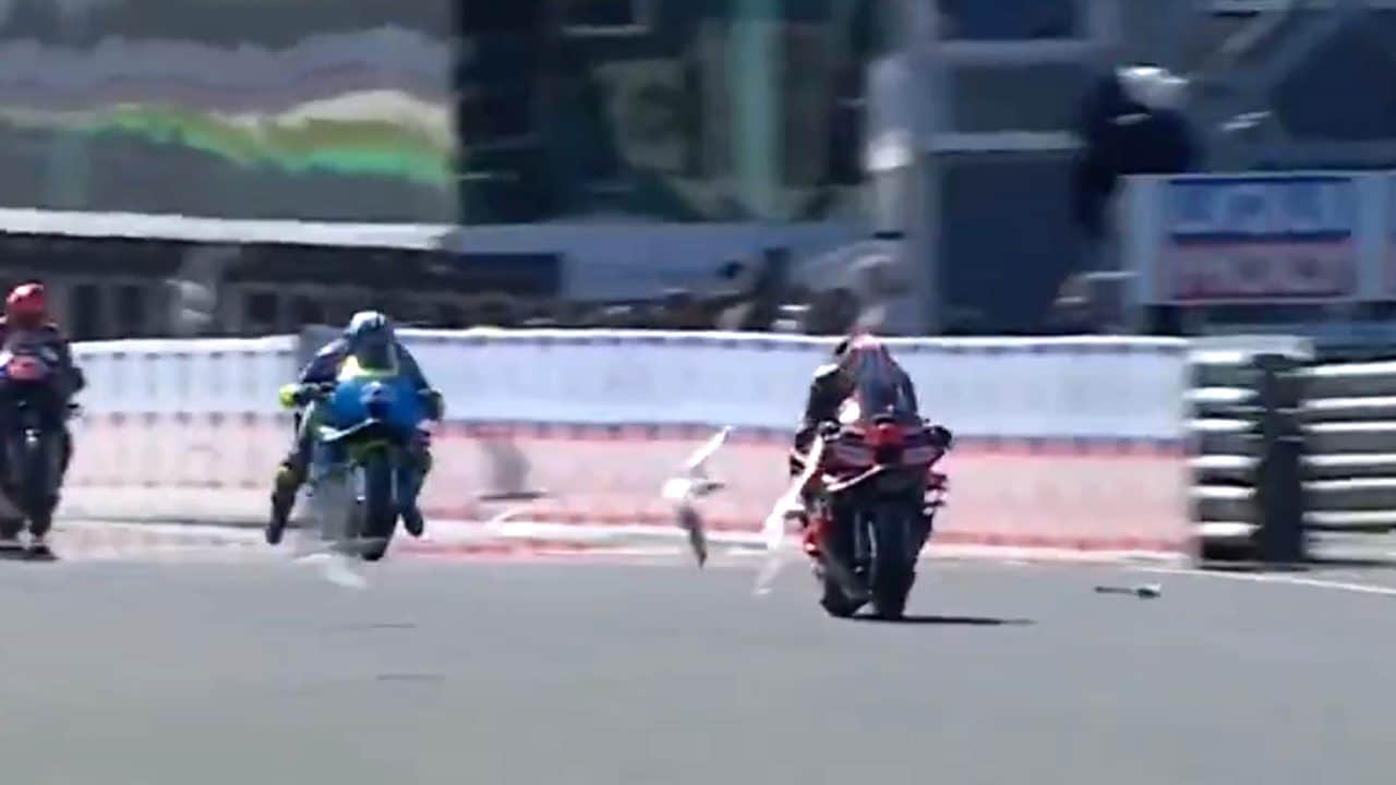 Bezzecchi e l'incidente con i gabbiani nel warm up a Phillip Island: uno gli finisce nel motore