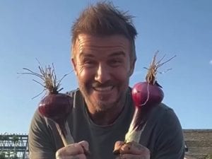 david-beckham-passione-giardinaggio-nuova-vita-star-inglese-300x225.jpg