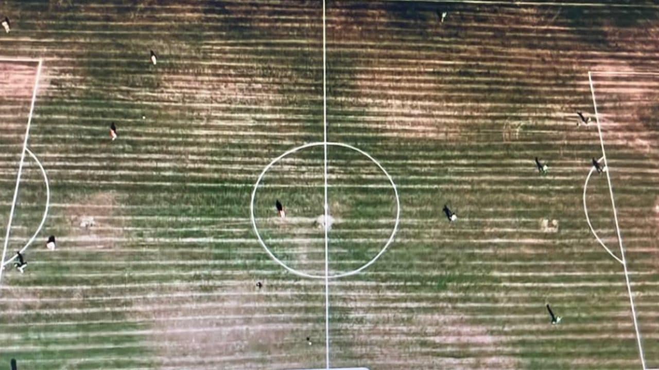 Perché Monopoli-Salernitana in Serie C si è giocata su questo campo disastrato (diventato virale)