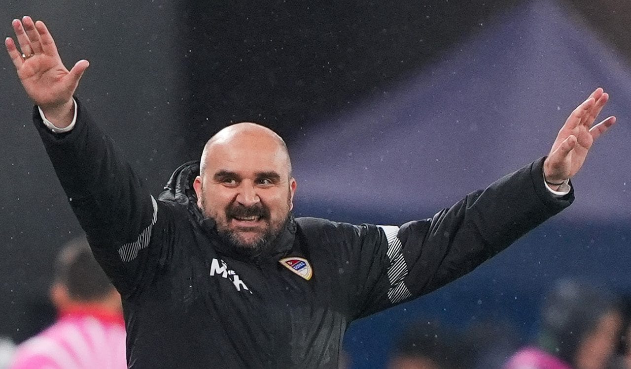 Il povero Zizovic in panchina