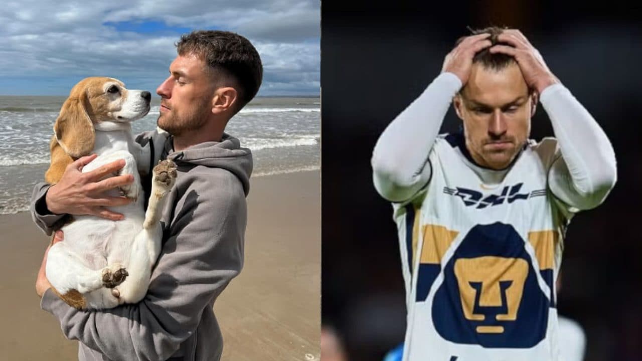 Ramsey rescinde il contratto con i Pumas e torna in Europa: è alla ricerca disperata del cane Halo