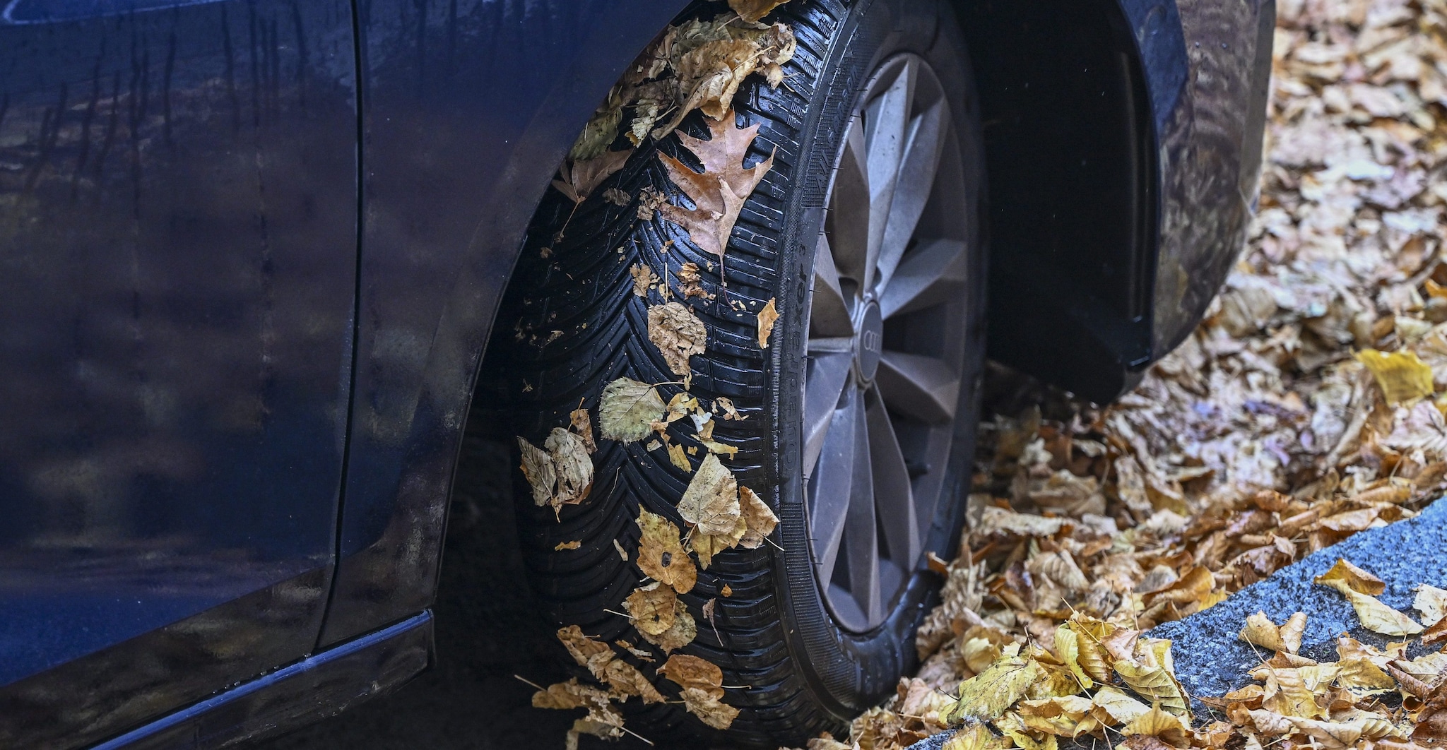 Cambio gomme invernali 2025, quando scatta l'obbligo: data, multe e periodo di tolleranza