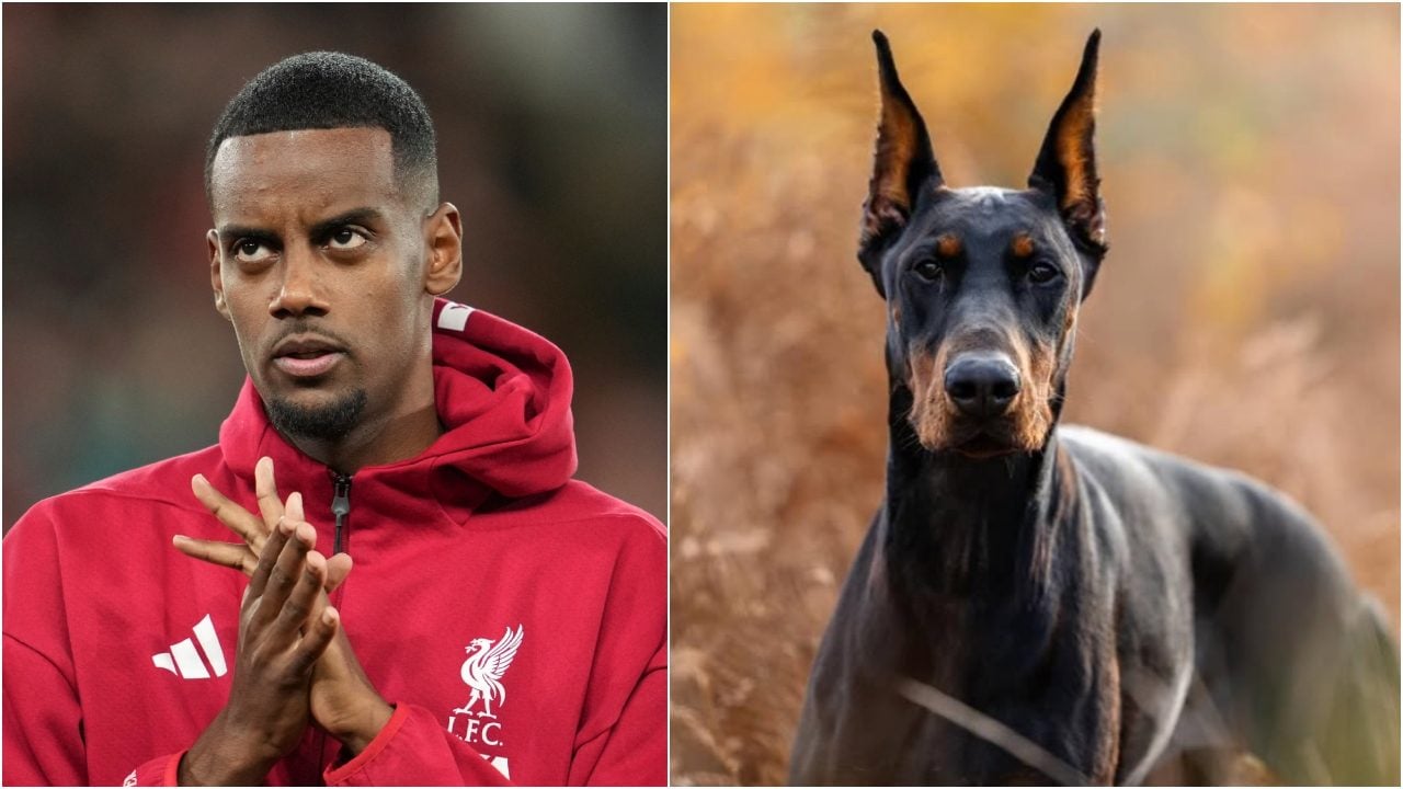 Isak minacciato dai tifosi, compra un cane da 35mila euro: è un dobermann altamente addestrato