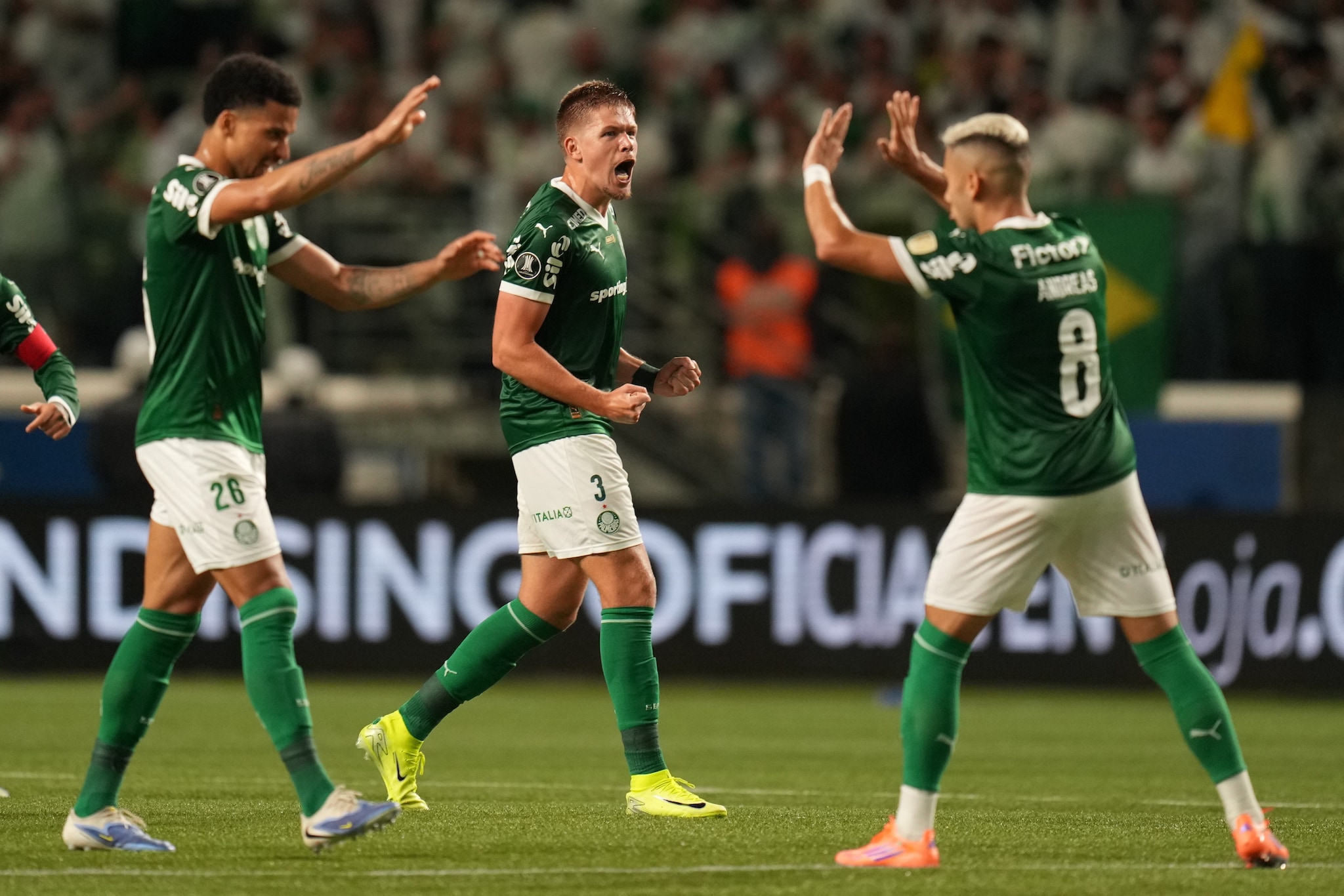 Palmeiras-Flamengo in finale di Copa Libertadores, dove vederla in TV e streaming: orario e formazioni