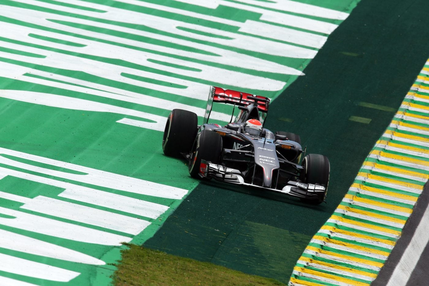 Adrian Sutil alla guida della Sauber nel GP Brasile 2014
