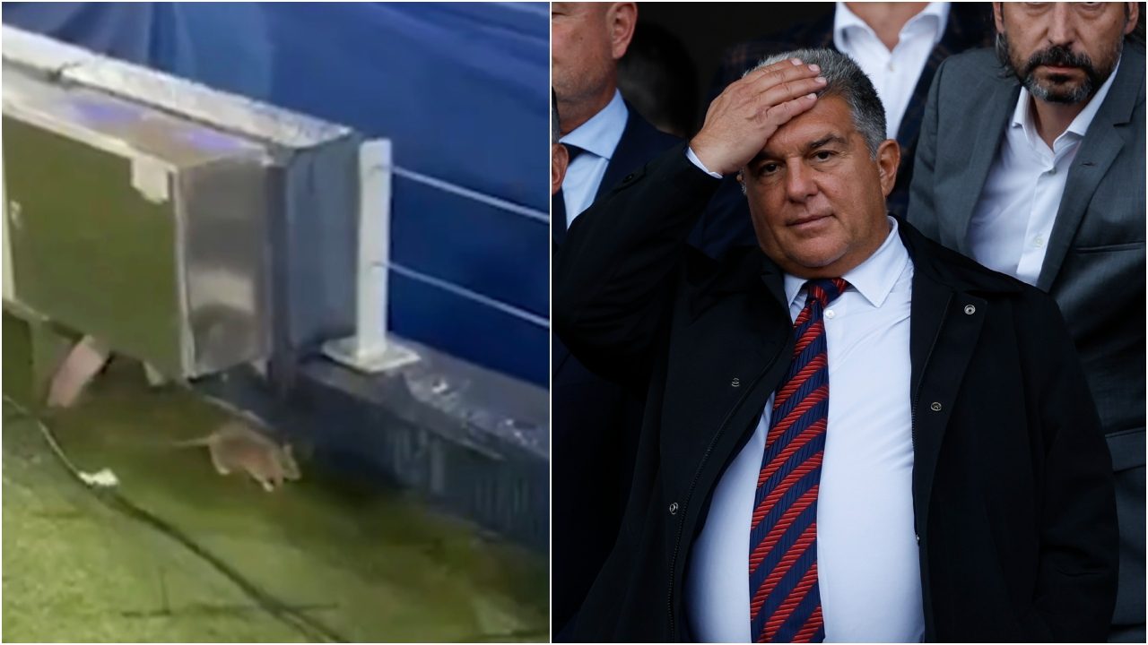 Un topo si aggira per il Camp Nou prima della partita di Champions: imbarazzo per il Barcellona