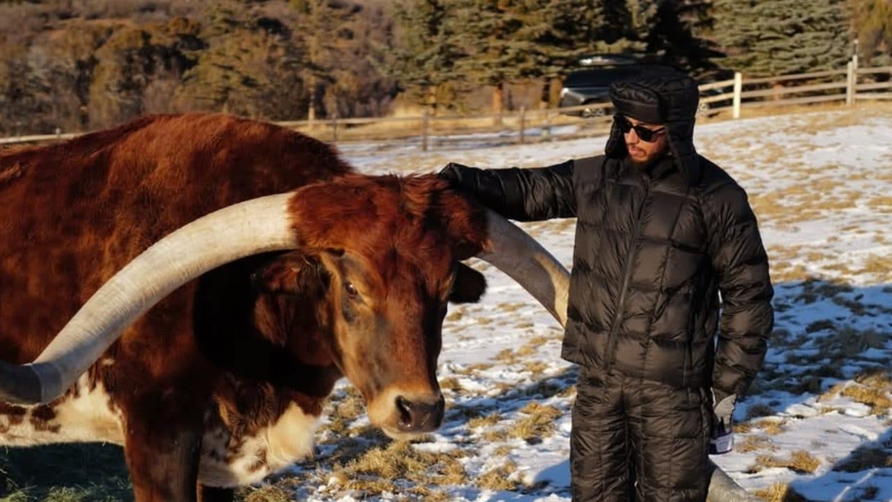 Lewis Hamilton riprende il telefono dopo settimane di disconnessione: "È stata una sensazione incredibile"