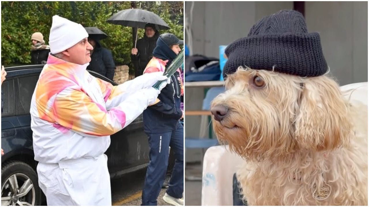 Dopo l'Uomo Gatto anche il cane Chico tedoforo delle Olimpiadi di Milano Cortina: come ha fatto