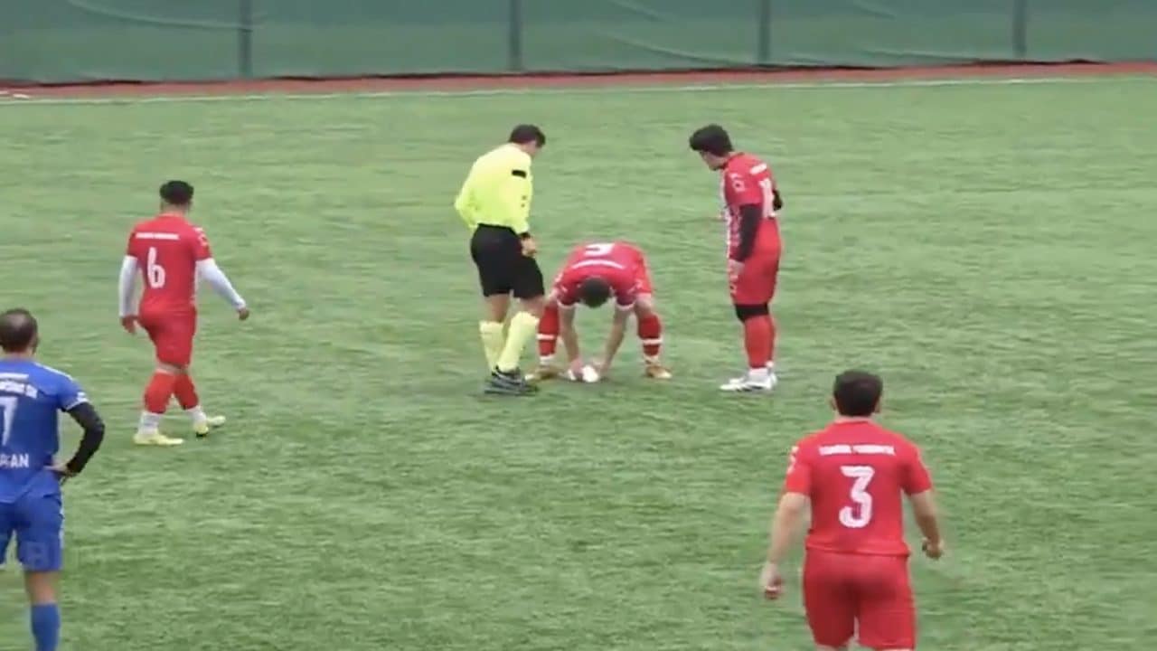 Gabbiano abbattuto da una pallonata, il calciatore non ci pensa su due volte: salvataggio da brividi