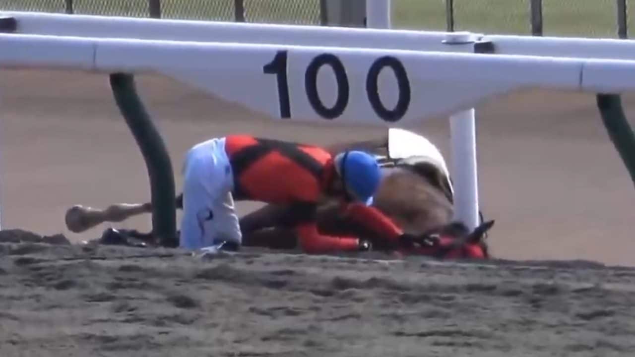 Kosei Miura cade in corsa, ma non pensa a sé: il fantino va ad accarezzare il cavallo accasciato