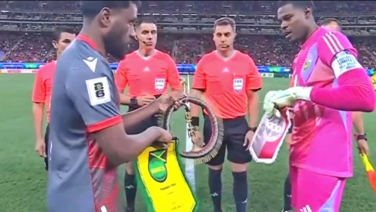 Il capitano della Giamaica non voleva il dono della Nuova Caledonia: pensava fosse stregoneria