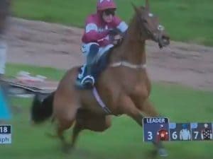 Gold Dancer soppresso in pista a causa di una frattura spinale: il fantino Paul Townend sotto accusa