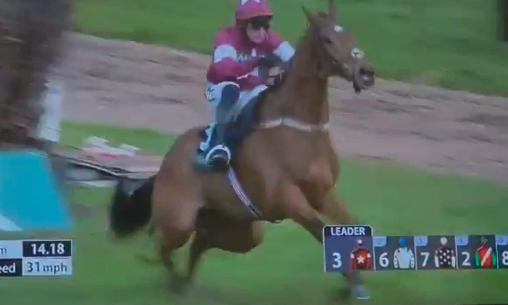 Gold Dancer soppresso in pista a causa di una frattura spinale: il fantino Paul Townend sotto accusa