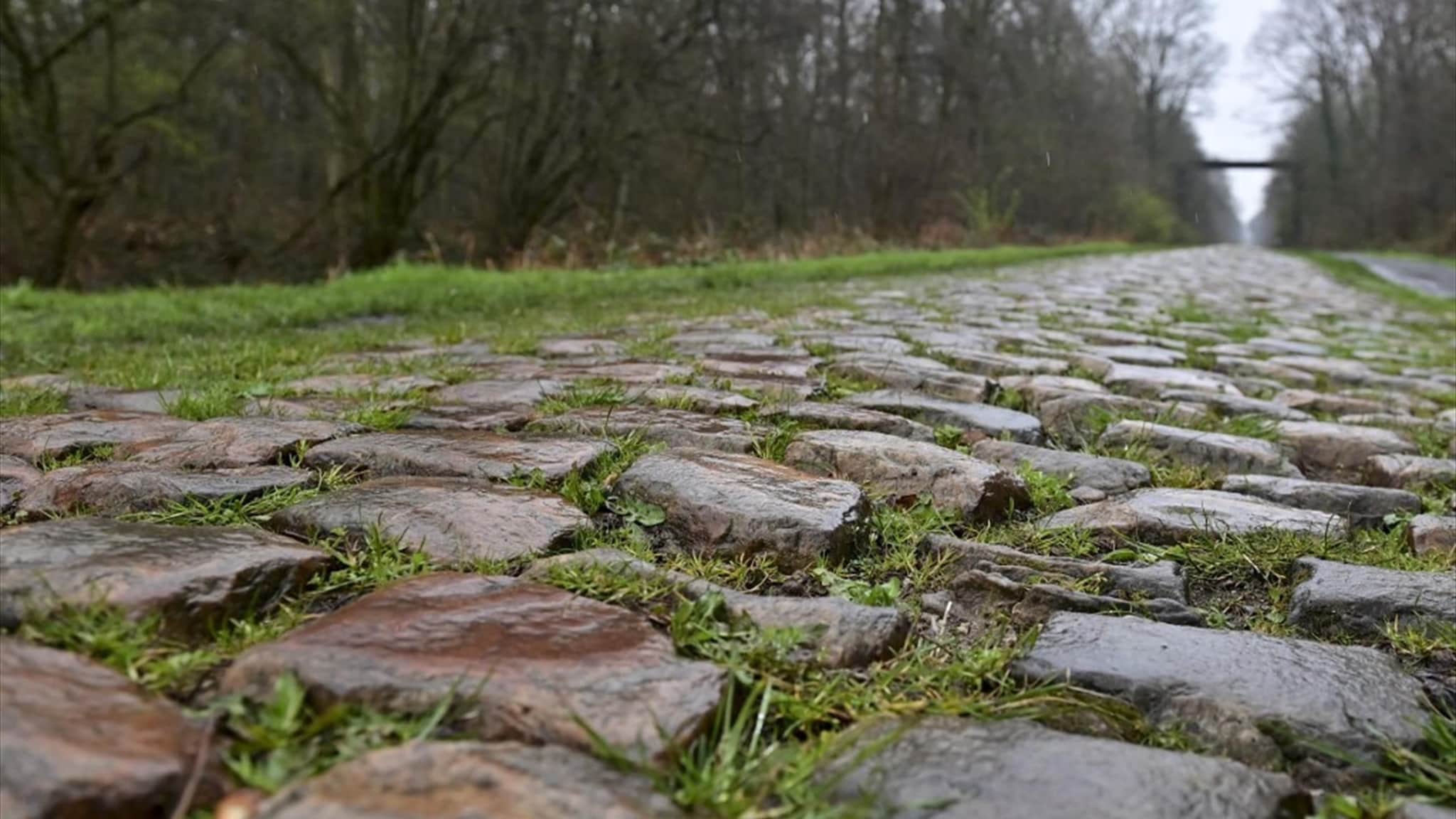 Il pavé della Roubaix: l’inferno che attende i ciclisti per 55km divisi in 30 settori