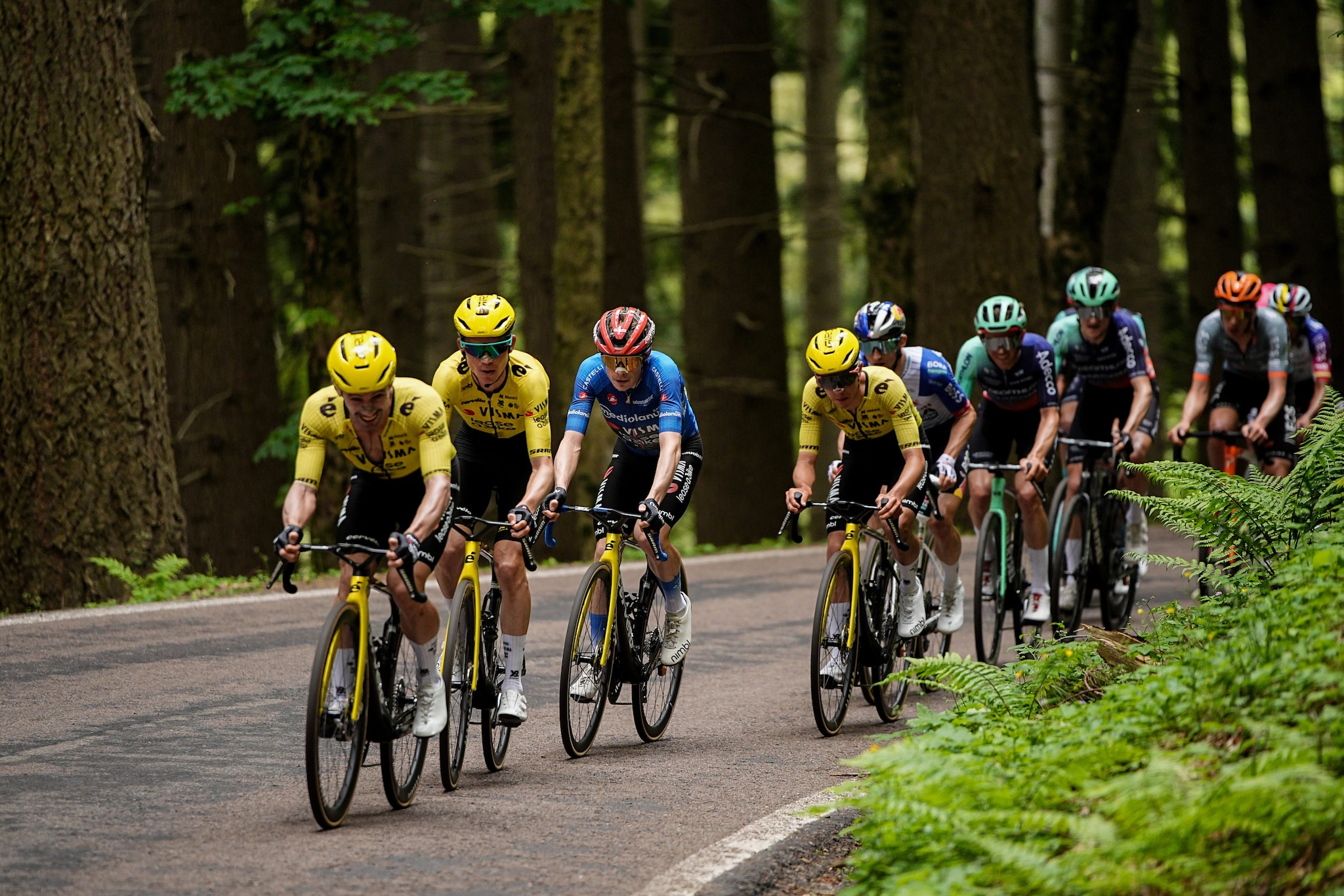 La Visma in azione al Giro d’Italia: Vingegaard ha la squadra migliore