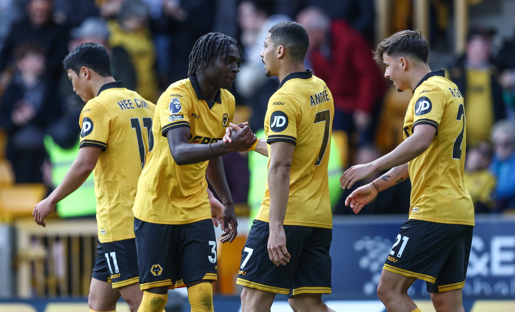 Il Wolverhampton è una delle squadre retrocesse dalla Premier.