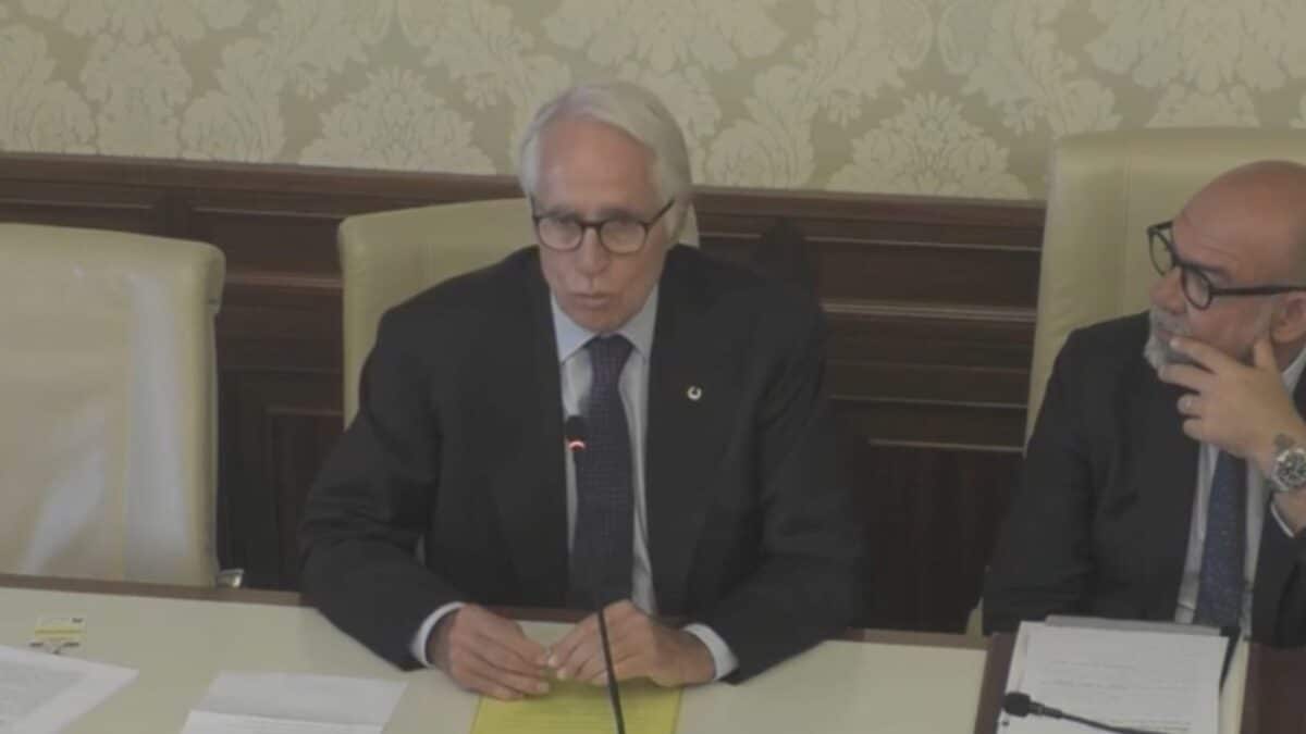 Giovanni Malagò in audizione al Senato.