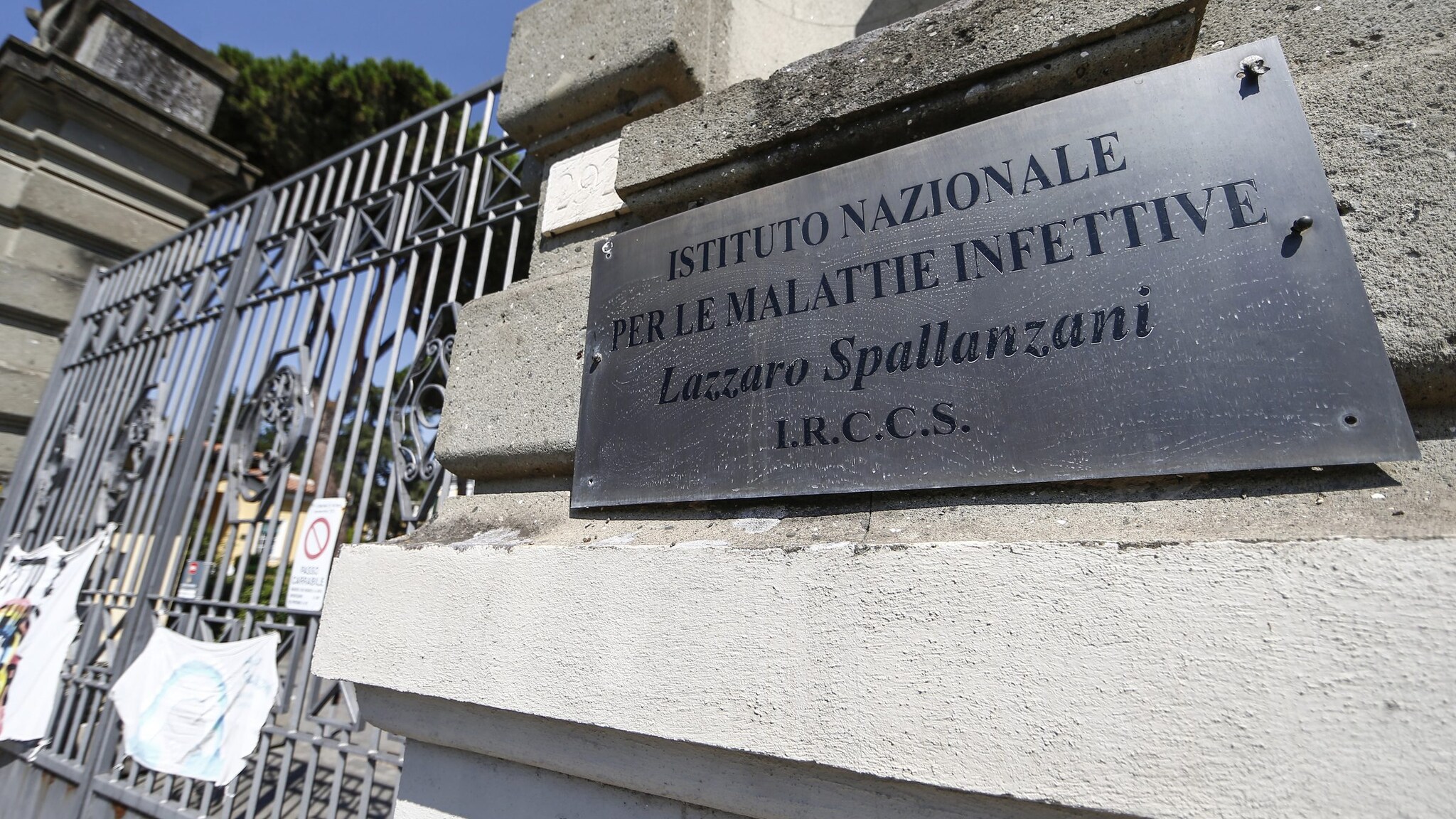 Immagine