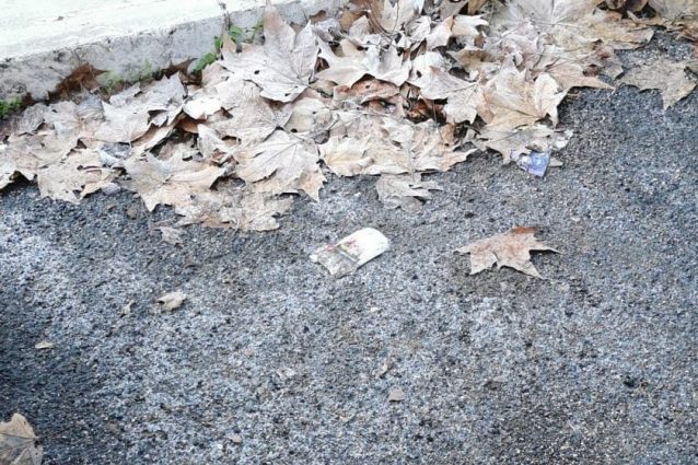 Foto di Reporter Montesacro
